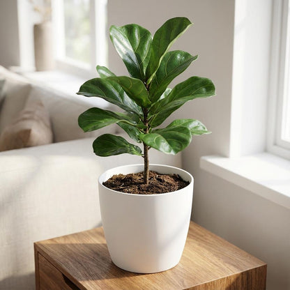 Sierpot - Brussels Rond 22cm - Wit