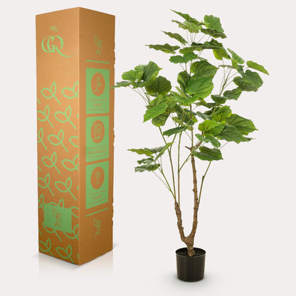 Kunstplant - Ficus Umbellata - Afrikaanse Vijg - Hoogte ↕ 125cm