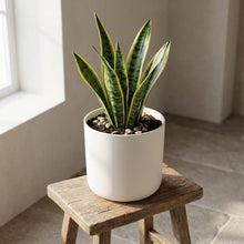 Pot - B.for Soft Wit - Ø 25cm