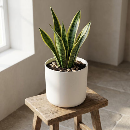 Pot - B.for Soft Wit - Ø 25cm
