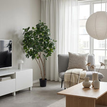 XL Kunstplant - Ficus Lyrata Boom - Hoogte ↕ 180cm