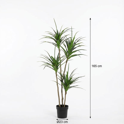 Kunstplant - Dracaena - Hoogte ↕ 165cm