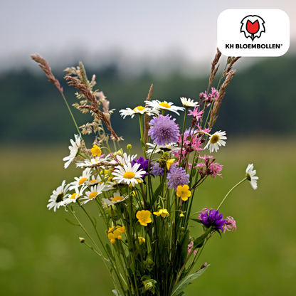 Wilde Bloemenzaad Mengsel - 100 gram - voor Bijen en Vlinders