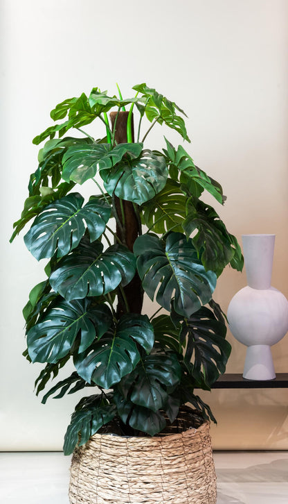 Kunstplant - Monstera Deliciosa - Hoogte ↕ 150cm