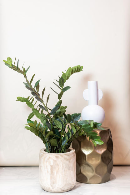 XL kunstplant - Zamioculcas Kamerpalm - Hoogte ↕ 110cm