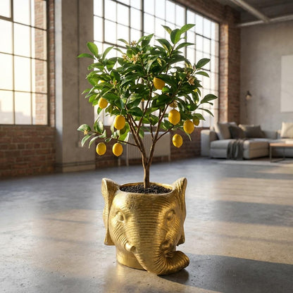 Sierpot - Planter Olifant Goud - D11/12cm x H10cm