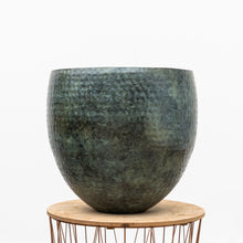 Sierpot - Fabien Mystic Green