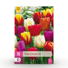 Bloembollen 15x Tulp Triumph mix - Diverse Kleuren - Bolmaat 11/12