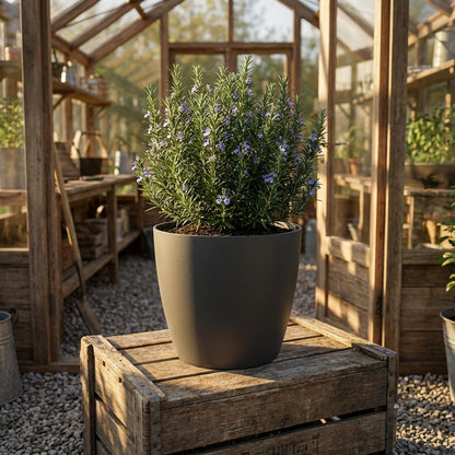 Sierpot - Pot Brussels Antraciet - Ø 7cm H 6cm
