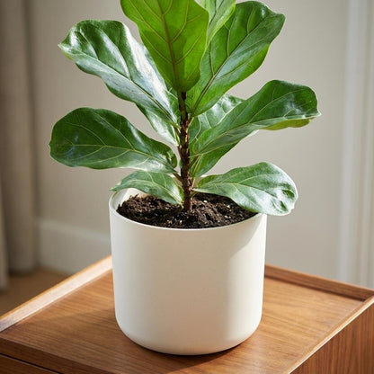 Sierpot - B.for Soft White - Ø 14cm