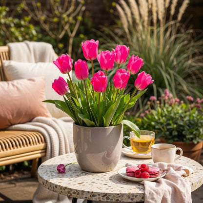 Bloembollen 15x Tulp Triumph Pink - Roze - Bolmaat 11/12