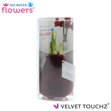 Kunstplant - Velvet Touchz® Bordeaux in koker - Hoogte ↕ 15cm