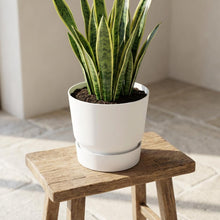 Sierpot - Ronde Buitenpot 30cm - Wit