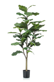 Kunstplant - Ficus Lyrata - Hoogte ↕ 120cm