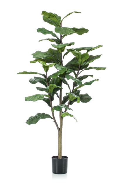 Kunstplant - Ficus Lyrata - Hoogte ↕ 120cm