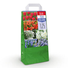 Bloembollen - Bulbs From Holland - Diverse Kleuren - 125 stuks - Geschenkverpakking