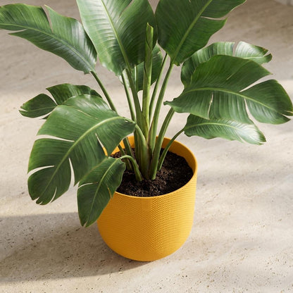 Sierpot - Jazz Round Amber Yellow - Ø 14cm