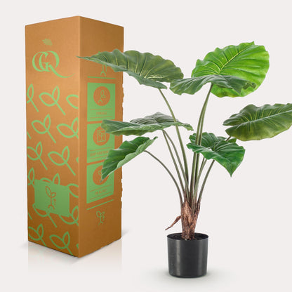 Kunstplant - Alocasia Olifantsoor - Hoogte ↕ 70cm