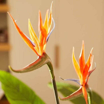XL Kunstplant - Strelitzia met Bloemen - Hoogte ↕ 120cm