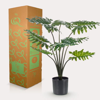 Kunstplant - Philodendron - Hoogte ↕ 60cm
