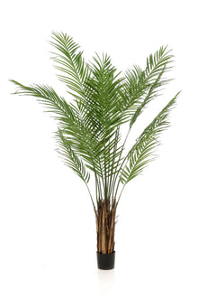 Kunstplant XL - Areca Lutescens Goudpalm - Hoogte ↕ 180cm