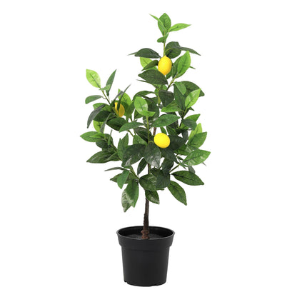 Kunstplant - Citroenboom - Hoogte ↕ 65cm