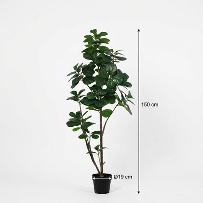 Kunstplant - Ficus Lyrata Vertakt XL - Hoogte ↕ 150cm