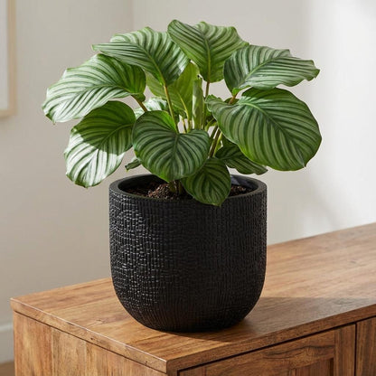 Pot - Capi Nature Skin Bol Antraciet - Ø 24cm H 21cm