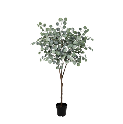 Kunstplant - Eucalyptus Boom - Hoogte ↕ 150cm