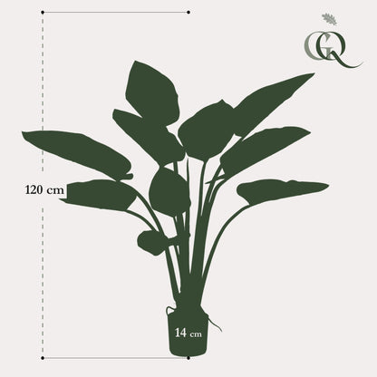 XL Kunstplant - Philodendron - Hoogte ↕ 120cm