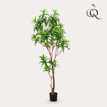 Kunstplant XL - Dracaena Drakenboom - Hoogte ↕ 190cm