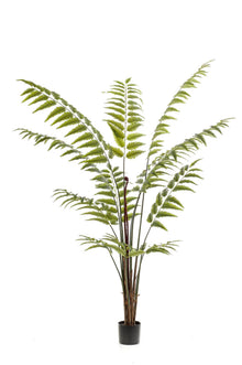 Kunstplant XL - Rumohra Adiantiformis Ledervaren - Hoogte ↕ 180cm
