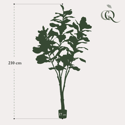 XL Kunstplant - Ficus Lyrata - 210cm