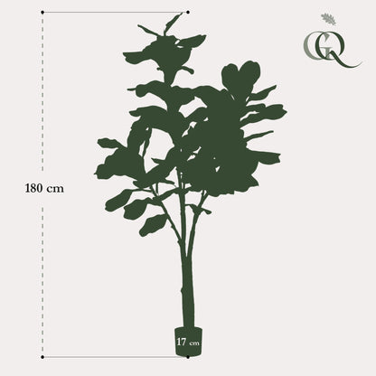 XL Kunstplant - Ficus Lyrata - 180cm