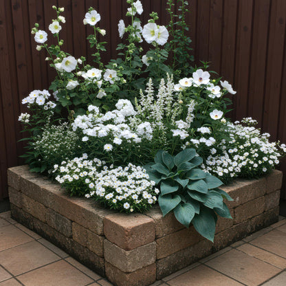 Buitenplant 8x Borderpakket Kleur Wit - Weinig onderhoud - Pot Ø 11cm Hoogte ↕ 10-25cm