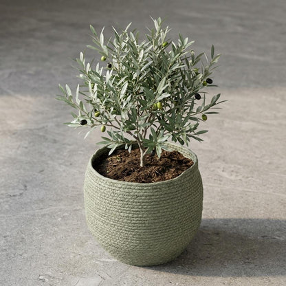 Sierpot - Mand Jorck Groen - D26cm