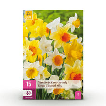 Buitenplant 15x Narcis Large Cupped Mix - Bloeiend - Bolmaat 12/14