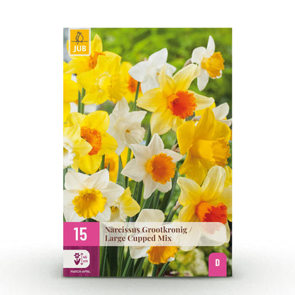 Buitenplant 15x Narcis Large Cupped Mix - Bloeiend - Bolmaat 12/14
