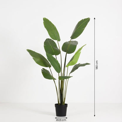 Kunstplant - Strelitzia Nicolai - Hoogte ↕ 180cm