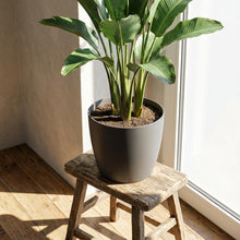 Sierpot - Pot Brussels Antraciet - Ø 7cm H 6cm