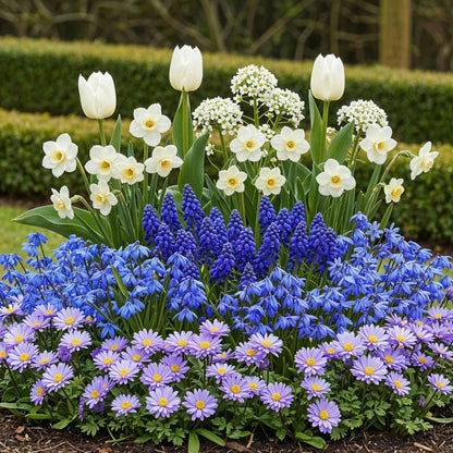 Bloembollen - Bulb Garden Blue Mix - Diverse soorten - 125 stuks - Geschenkverpakking