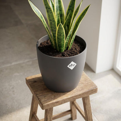 Sierpot - ELHO Brussels Rond 25cm - Antraciet