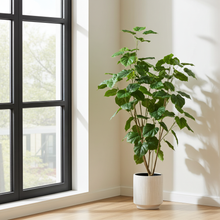 XL kunstplant - Ficus umbellata - Afrikaanse vijg - Hoogte ↕ 180cm